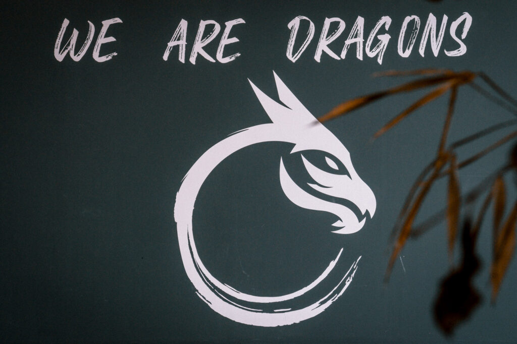 We Are Dragons.